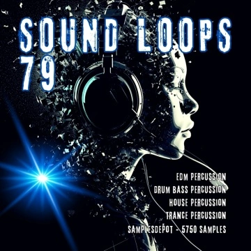 Sound Loops 79: Percussion Samples