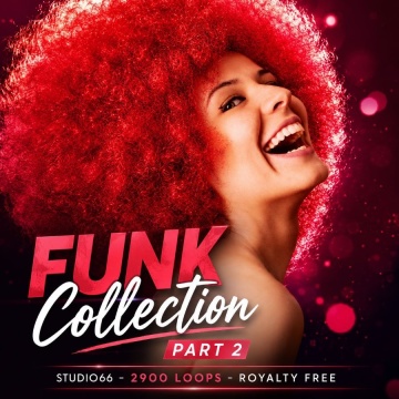 Funk Groove Collection Part 2 WAV Loops Download