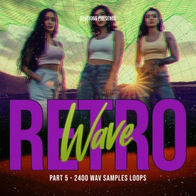 80s Retro Collection Part 5 WAV Loops Samples Download