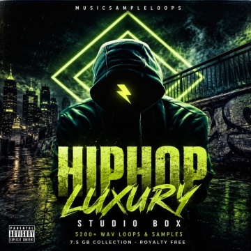 Hip Hop Luxury Studio Box Samples