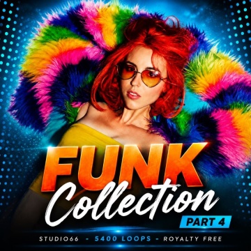 Funk Groove Collection Part 4 WAV Loops Download