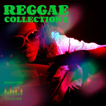 Reggae Vibe Collection Part 1 WAV Loops Samples