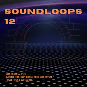 Sound Loops 12 - House Collection