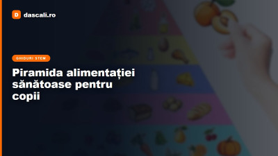 Cea mai nouă piramidă a alimentației sănătoase pentru copii și adulți - descrierea nivelurilor...