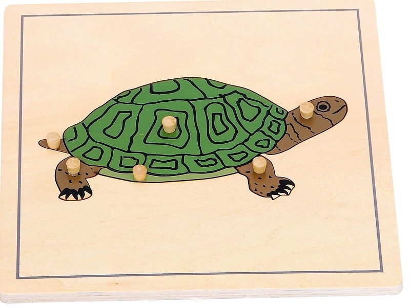 Puzzle Montessori Turtle