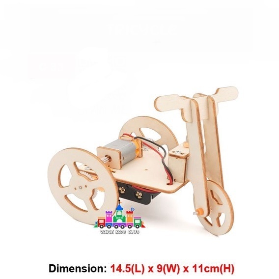 Triciclu DIY cu motor