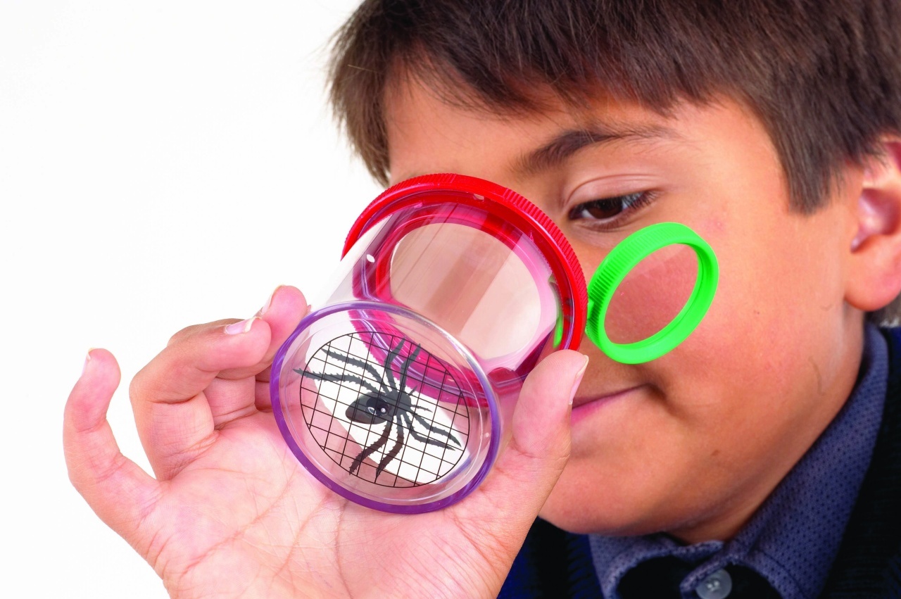 Borcan pentru insecte - mare