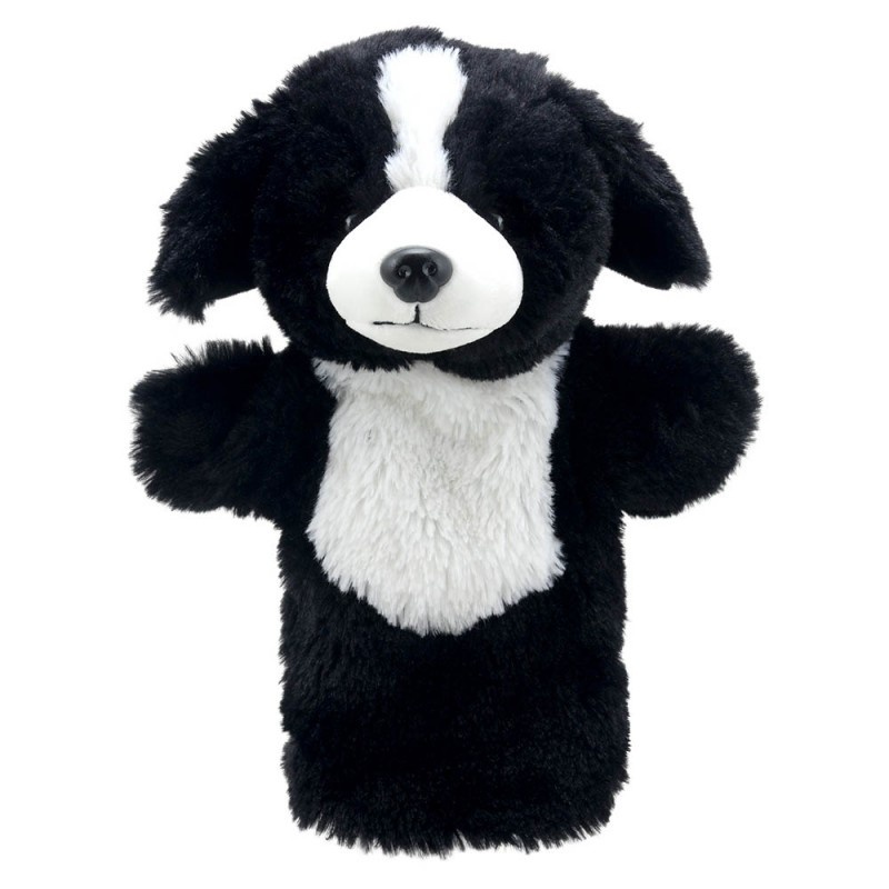 Collie Dog, seria Friends