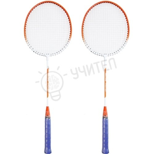 BADMINTON ÎN HUSĂ