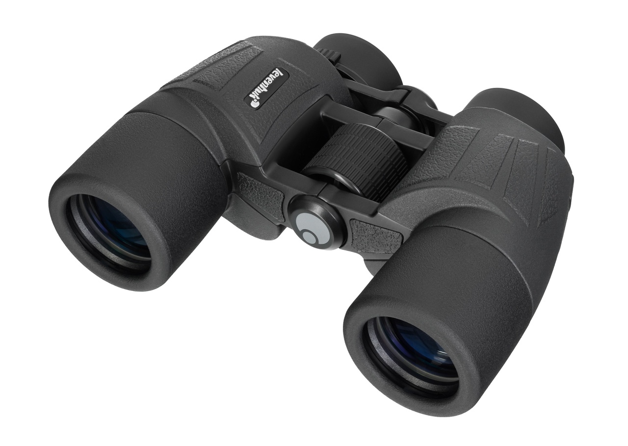 Binoclu New Sherman BASE 10x40 cu prisme Porro