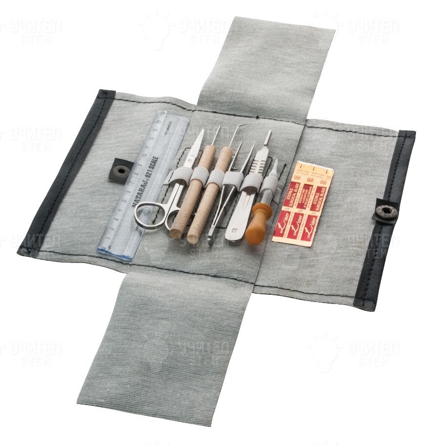 Set de disecție 7 instrumente