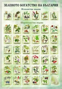 Bogăția verde a Bulgariei - planșă murală
