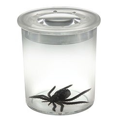 Borcan pentru insecte