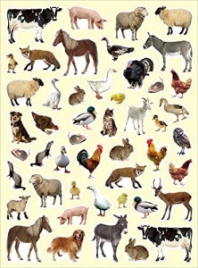 Stickere Animale de la fermă