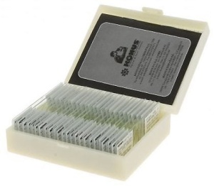 Micropreparate zoologice – reptile și păsări