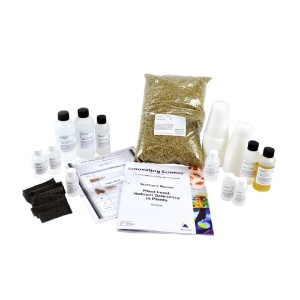Set educațional Hrană vegetală: deficiența substanțelor nutritive în plante