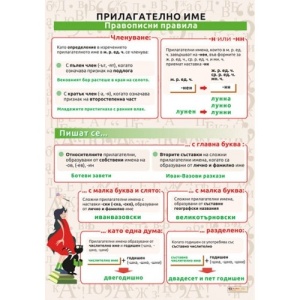 Panou educațional Adjectivul. Reguli de ortografie