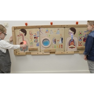 Panou educațional interactiv din lemn – Sistemul digestiv - Img 3