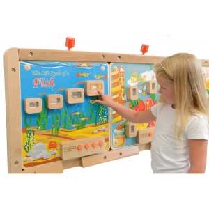 STEM Tablou educațional luminos ciclul de viață al peștelui - Img 1