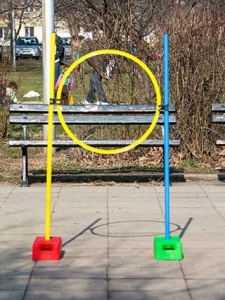 Tigru - modul pentru jocuri psihomotorii - Img 2