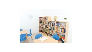 Bibliotecă înaltă - arțar - Img 5