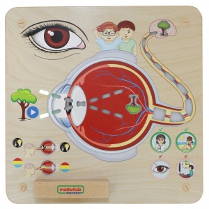 STEM tabla interactiva din lemn Senses - Sight - Img 3