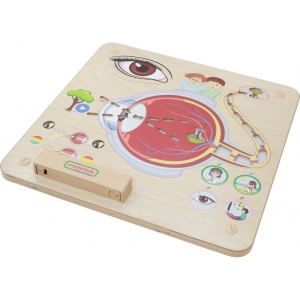 STEM tabla interactiva din lemn Senses - Sight - Img 5