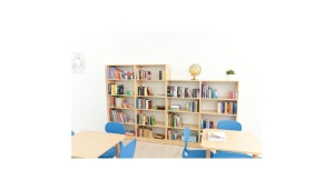 Bibliotecă înaltă - arțar - Img 2