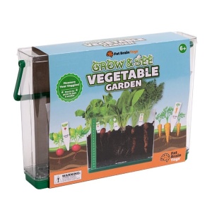 Grădina de legume - set pentru tânărul grădinar