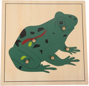 Puzzle din lemn cu animale - broasca