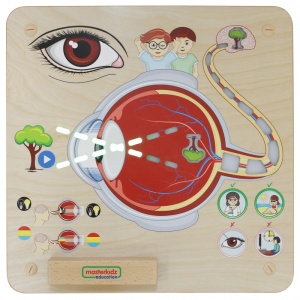STEM tabla interactiva din lemn Senses - Sight - Img 4