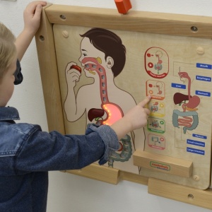 Panou educațional interactiv din lemn – Sistemul digestiv - Img 1