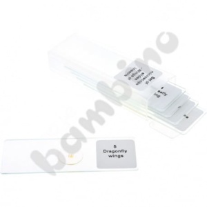 Set preparate microscopice - aripi de insecte