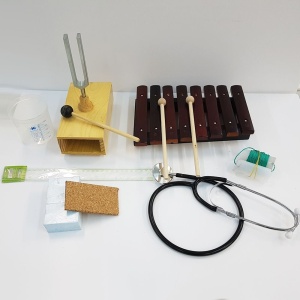 Sunet - set pentru profesor