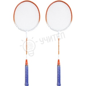 BADMINTON ÎN HUSĂ