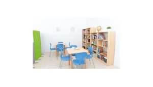 Bibliotecă înaltă - arțar - Img 3
