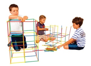 Constructor Bambus Arhitect