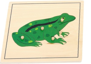 Puzzle Montessori Broască