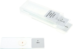 Set de preparate microscopice - nevertebrate