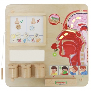 STEM tabla interactiva din lemn Smell - Img 2