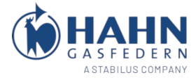 Hahn Gasfedern
