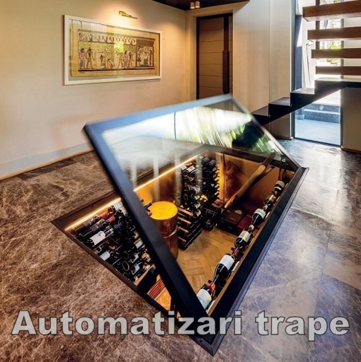 Kit de automatizare pentru actionarea usilor de beci 250 kg