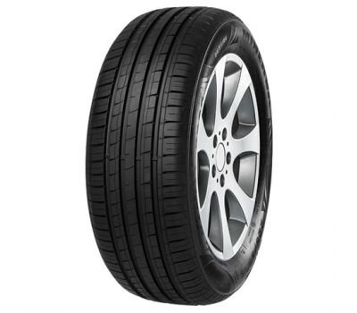 Minerva F209 205/55/R16 91H vara