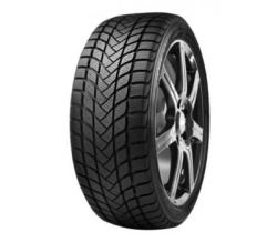 Delinte WD6 205/50/R17 93H iarna