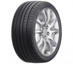 Fortune FSR701 255/30/R19 91Y XL vara