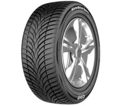 Ceat WINTERDRIVE SPORT 245/45/R18 100V XL iarna