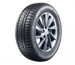 Sunny NW211 225/50/R18 99V XL iarna