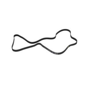 1255 J 5 MA CUREA ELASTICA CUREA POLI-V <=> 00439490 BSH