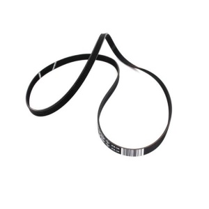 1244J5EL CUREA ELASTICA POLI-V OPTIBELT