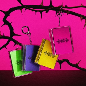 TXT – 7TH YEAR: A Moment of Stillness in the Thorns (Photocard Case Ver.) RANDOM